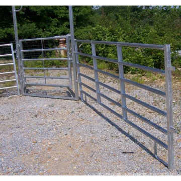 6FT X12FT Usado Galvaized Corral Painel para Venda